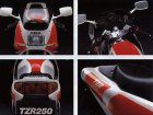 Yamaha TZR 250